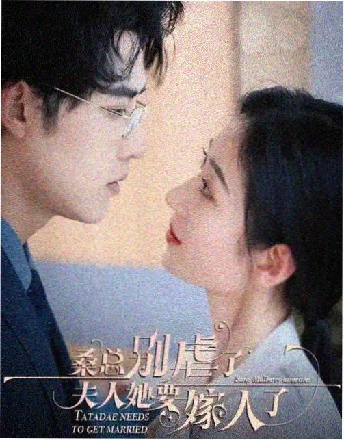电影天堂apk 榜单第二 雾港回声